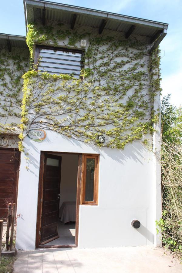 شقة Casita Moderna Frente Al Bosque مار ديل بلاتا المظهر الخارجي الصورة