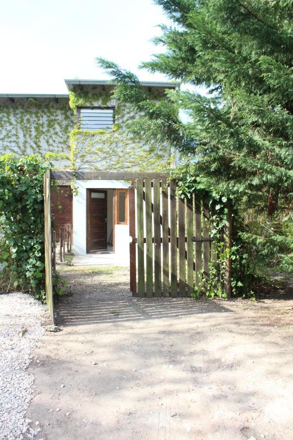 شقة Casita Moderna Frente Al Bosque مار ديل بلاتا المظهر الخارجي الصورة